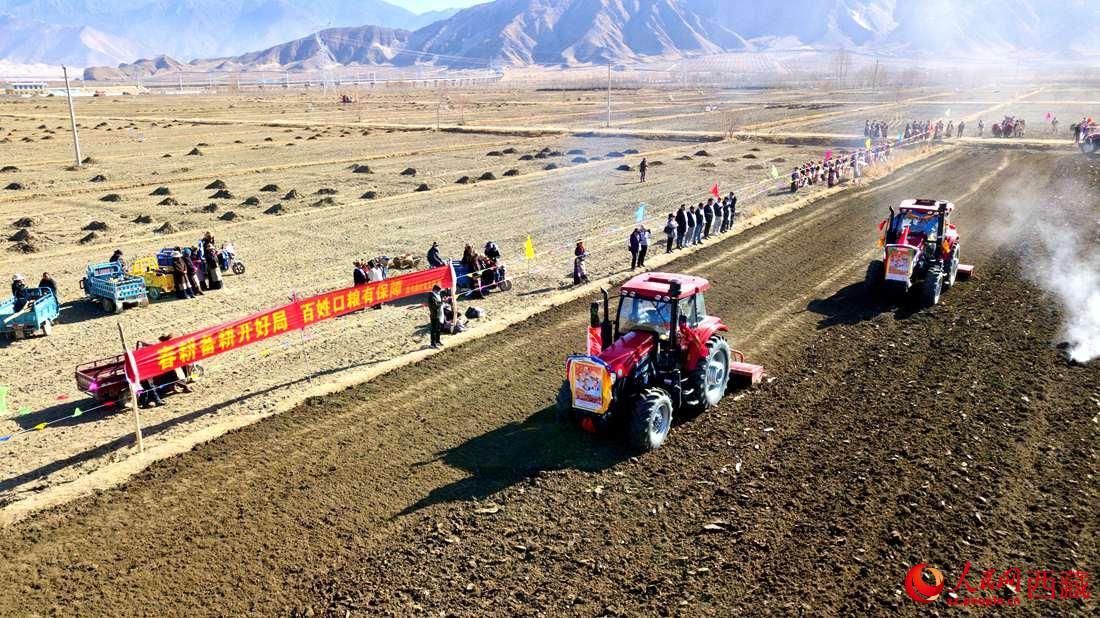 山南市扎囊縣扎其鄉(xiāng)孟卡榮村迎來春耕第一犁。人民網(wǎng) 次仁羅布攝