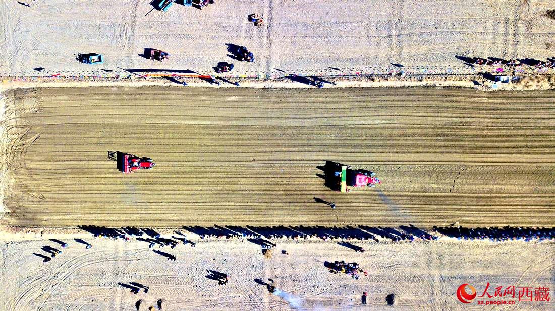 山南市扎囊縣扎其鄉(xiāng)孟卡榮村迎來春耕第一犁。人民網(wǎng) 次仁羅布攝