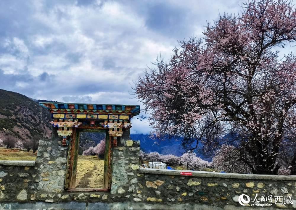 桃花下的藏式民居。人民網(wǎng) 李海霞攝