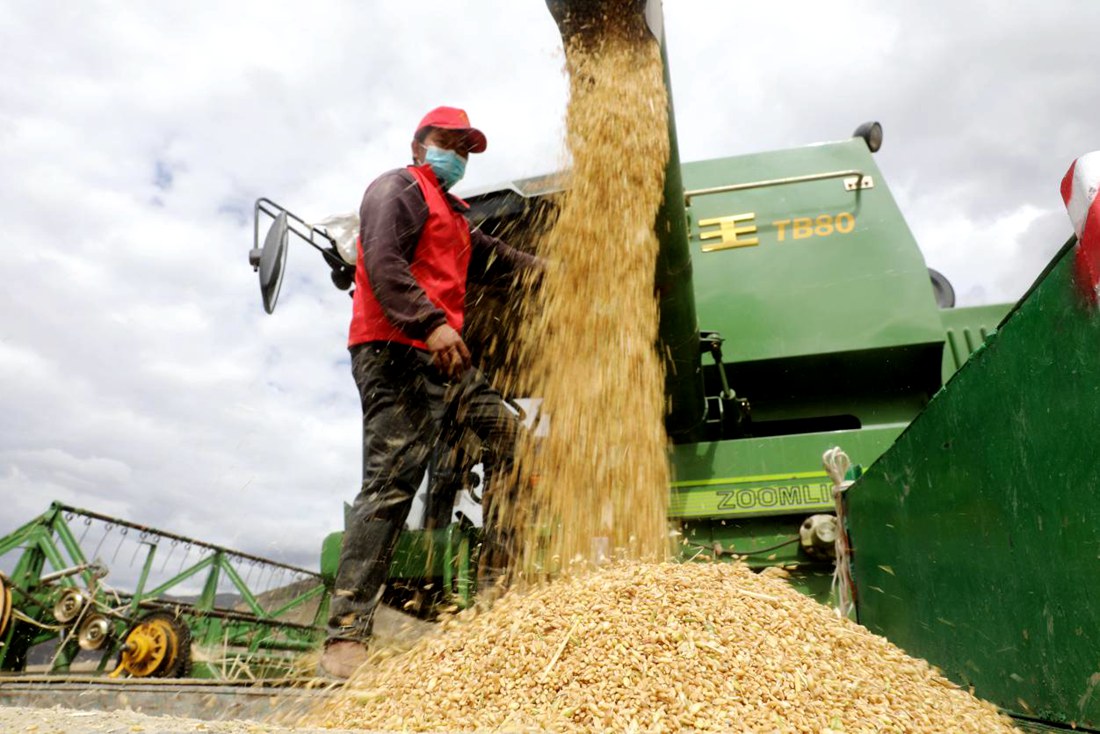 顆粒歸倉(cāng)。洛克攝