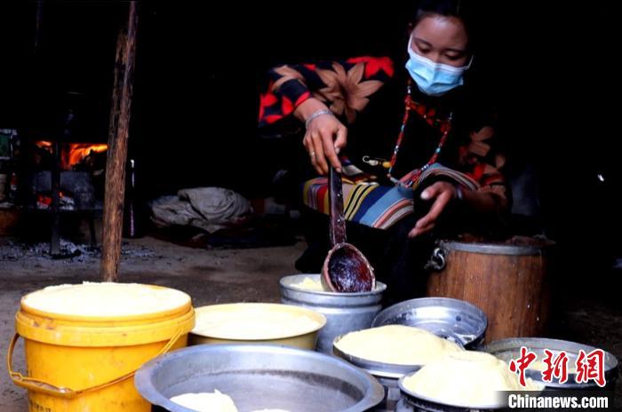 圖為牧民正在制作酥油?！∪湛t文聯(lián)供圖