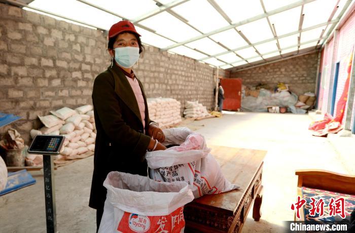 圖為寧重崗村村民扎西才措把自家的油菜籽送到合作社銷售。　嘉黎縣融媒體中心供圖