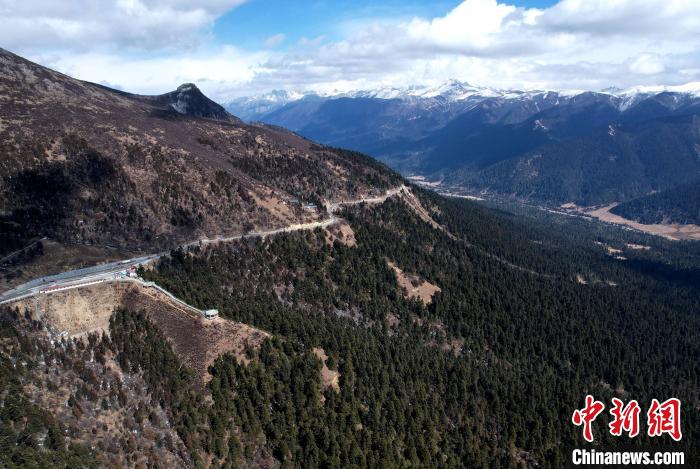 2月17日，西藏林芝魯朗林海。(無(wú)人機(jī)照片) 李林 攝