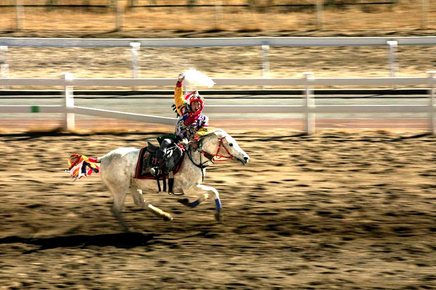 藏歷新年，精彩的馬術(shù)表演。張靜攝