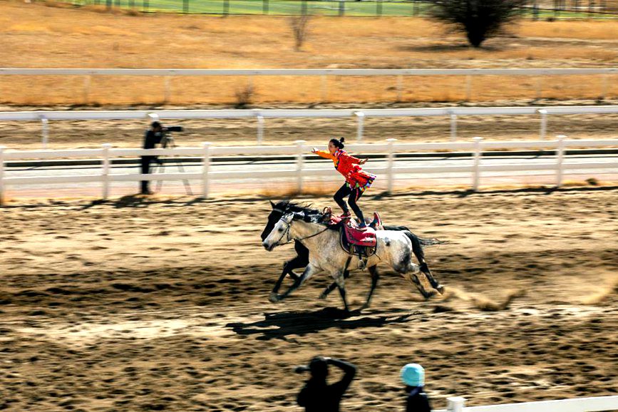 藏歷新年，精彩的馬術(shù)表演。張靜攝