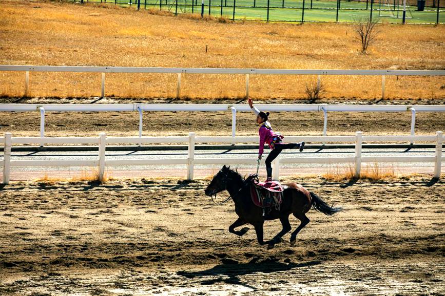 藏歷新年，精彩的馬術(shù)表演。張靜攝