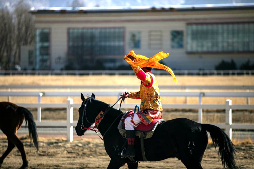 藏歷新年，精彩的馬術(shù)表演。張靜攝