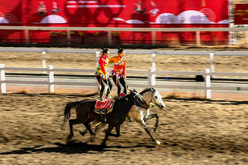 藏歷新年，精彩的馬術(shù)表演。張靜攝
