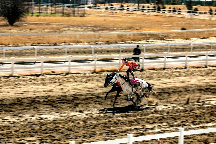 藏歷新年，精彩的馬術(shù)表演。張靜攝