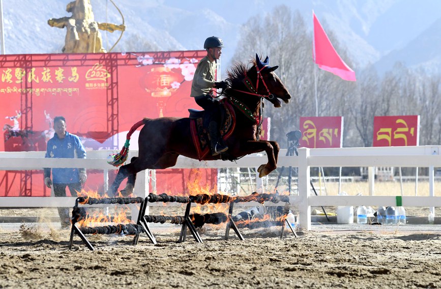 藏歷新年，精彩的馬術(shù)表演。潘多攝