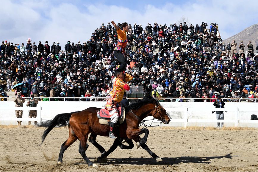 藏歷新年，精彩的馬術(shù)表演。潘多攝