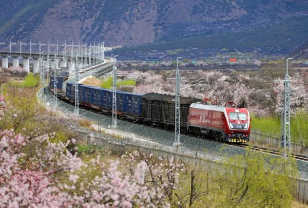 人間桃花源！林芝桃花有多絕？