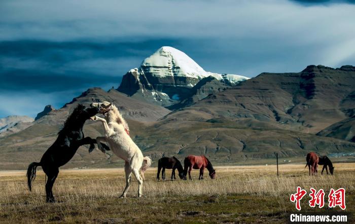 圖為參展攝影師拍攝的西藏阿里岡仁波齊。　主辦方 供圖