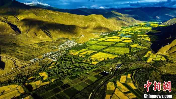 圖為山南雍布拉康附近農(nóng)田。　張巍 攝