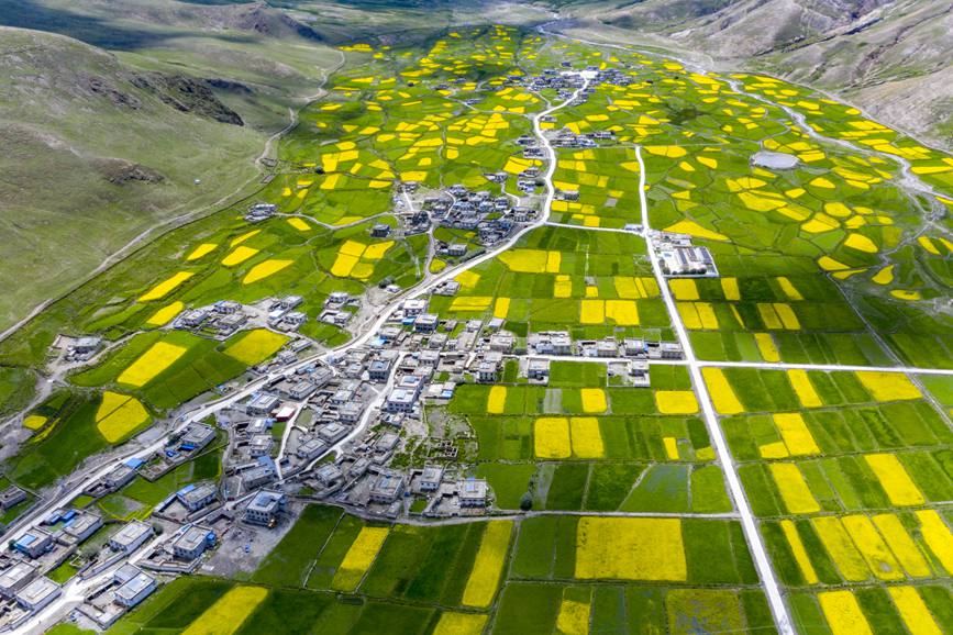 航拍道布龍村，依山傍水，阡陌縱橫。