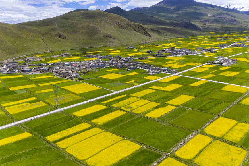 航拍道布龍村，依山傍水，阡陌縱橫。