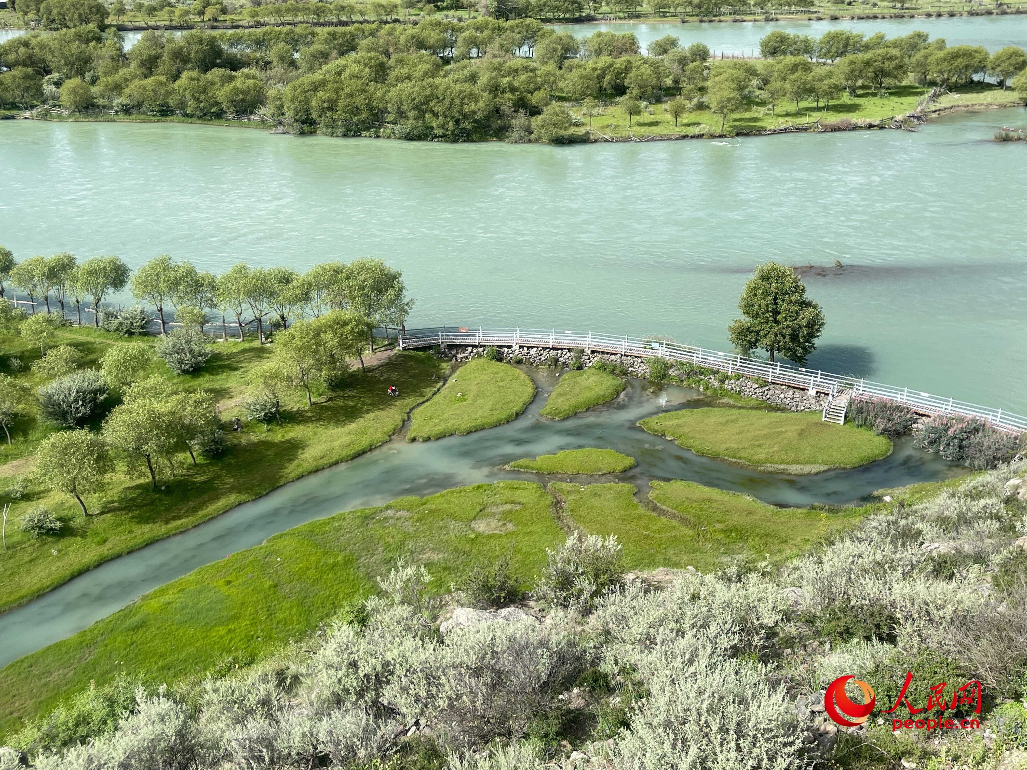 夏日的雅尼國家濕地公園生機(jī)盎然，如詩如畫。人民網(wǎng) 周靜圓攝