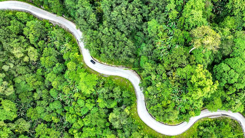 穿行于綠色間，生態(tài)優(yōu)良。張澤坤攝