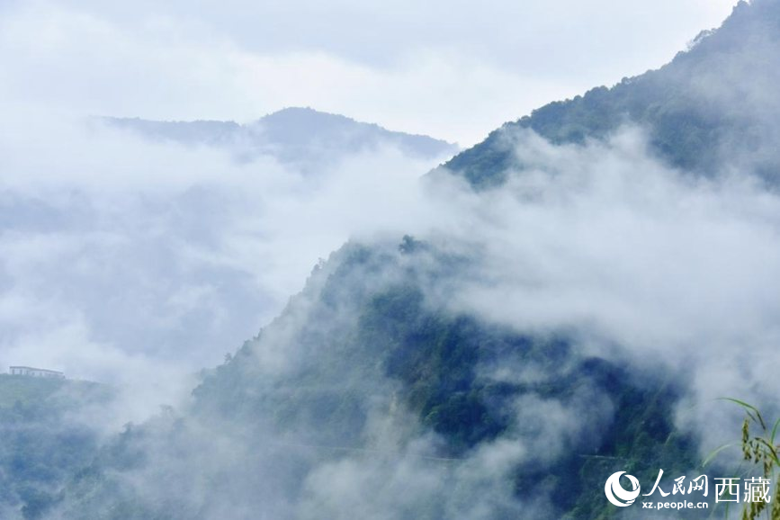 秋日里的墨脫云海。人民網(wǎng) 李海霞攝