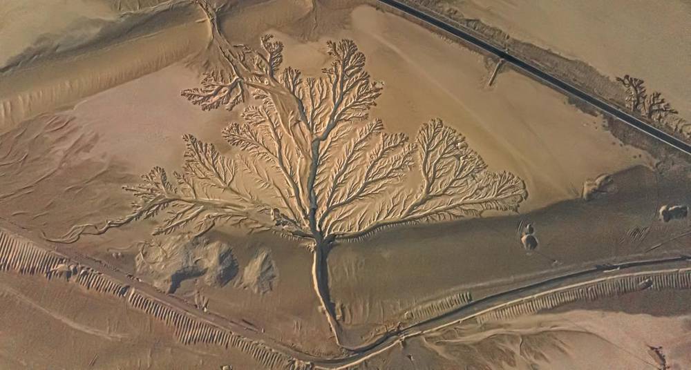 壯觀的“大地之樹”。邊巴多吉攝