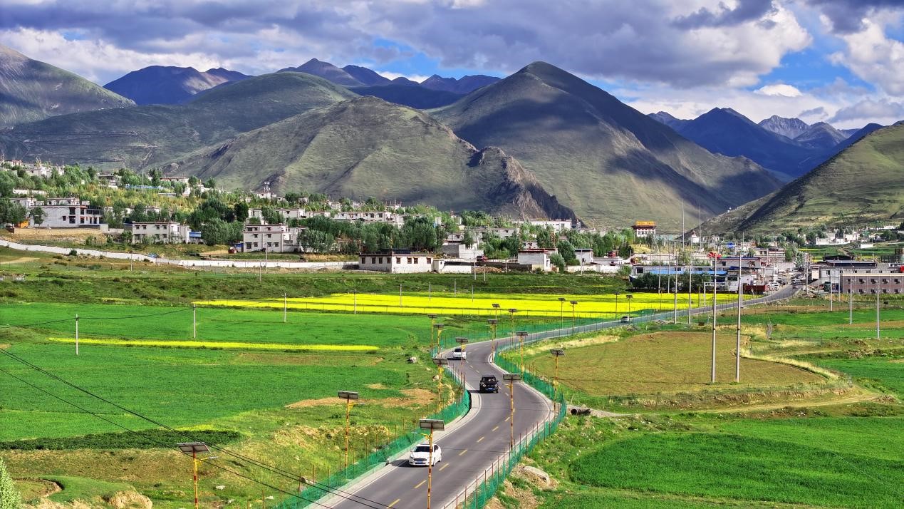 油菜花開“金”滿地。墨竹工卡縣委宣傳部 洛克攝