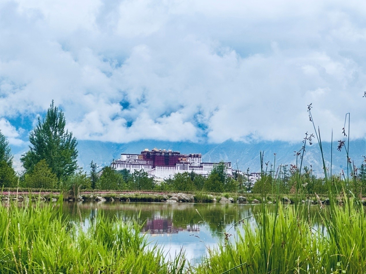 在南山公園遠(yuǎn)眺布達(dá)拉宮。人民網(wǎng)記者 益西康珠攝