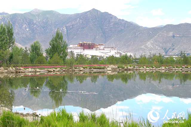 雄偉的布達(dá)拉宮與綠意蔥蘢的南山隔河相望。人民網(wǎng)記者 劉凡攝