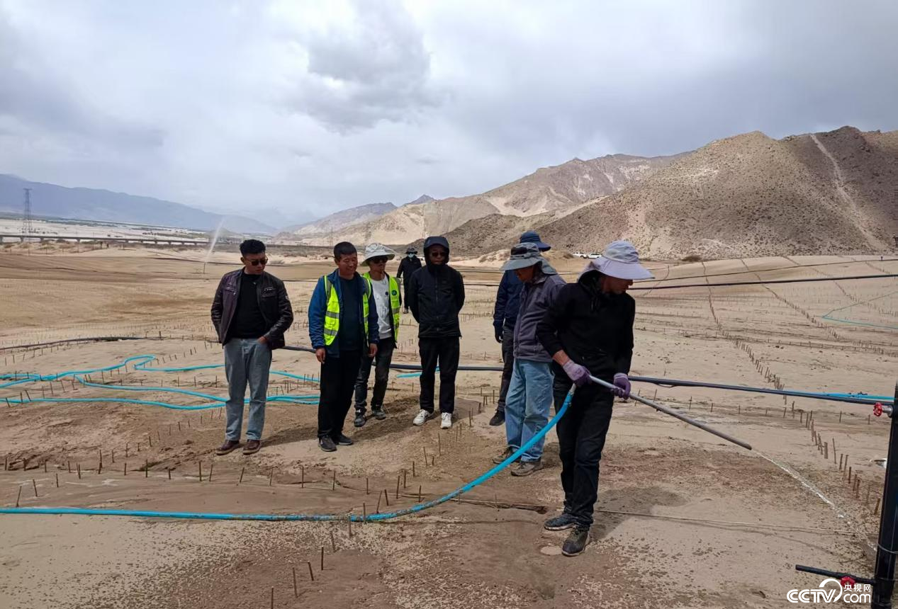 拉薩南北山綠化工程貢嘎段11號(hào)片區(qū)開(kāi)展生態(tài)修復(fù)工程（主辦方供圖）