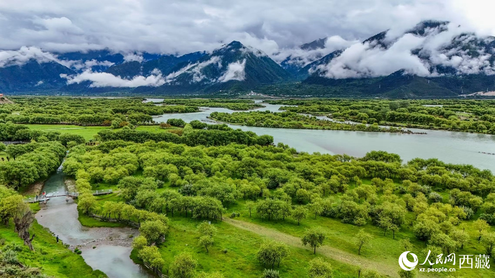 鳥瞰盛夏季節(jié)的雅尼濕地風光。人民網(wǎng)記者 次仁羅布攝