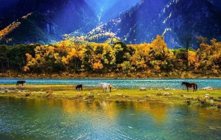 懂西藏的人，一定不會(huì)錯(cuò)過林芝的秋天