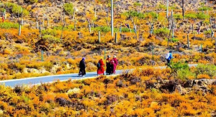 懂西藏的人，一定不會(huì)錯(cuò)過林芝的秋天