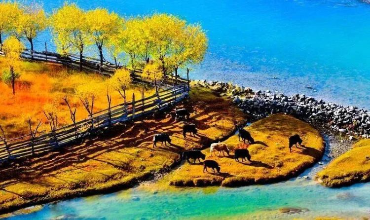 懂西藏的人，一定不會(huì)錯(cuò)過林芝的秋天