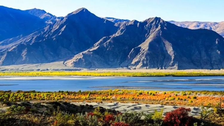 懂西藏的人，一定不會(huì)錯(cuò)過林芝的秋天