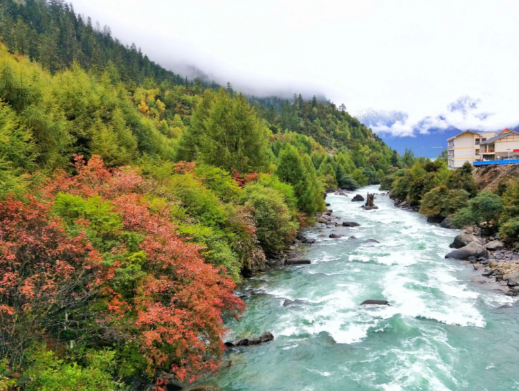 懂西藏的人，一定不會(huì)錯(cuò)過林芝的秋天
