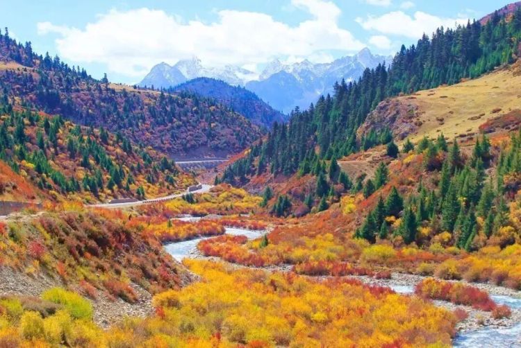 懂西藏的人，一定不會(huì)錯(cuò)過林芝的秋天