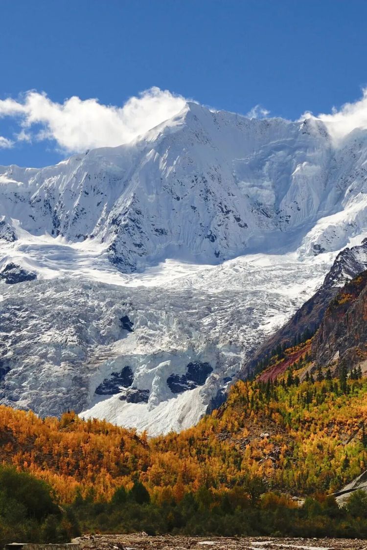 懂西藏的人，一定不會(huì)錯(cuò)過林芝的秋天