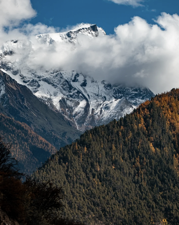 懂西藏的人，一定不會(huì)錯(cuò)過林芝的秋天