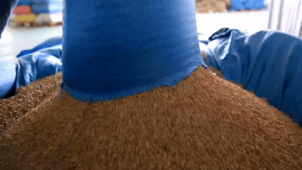 青稞“蛻變”，牦?！俺鋈Α?！看西藏農(nóng)牧民的“十四五”豐收答卷