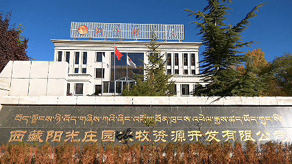 青稞“蛻變”，牦牛“出圈”！看西藏農(nóng)牧民的“十四五”豐收答卷