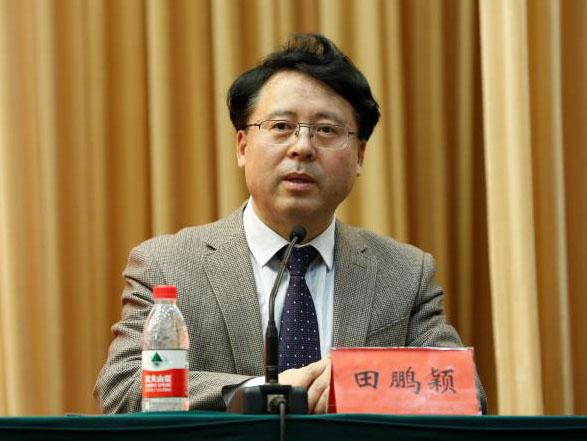 田鵬穎：投入其中、樂在其中、安身其中