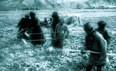 農奴被強迫從事無償勞動