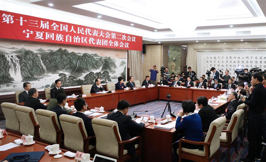 （兩會）（1）寧夏代表團(tuán)全體會議向媒體開放