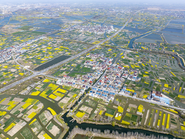 春天里的水鄉(xiāng)興化。周社根攝