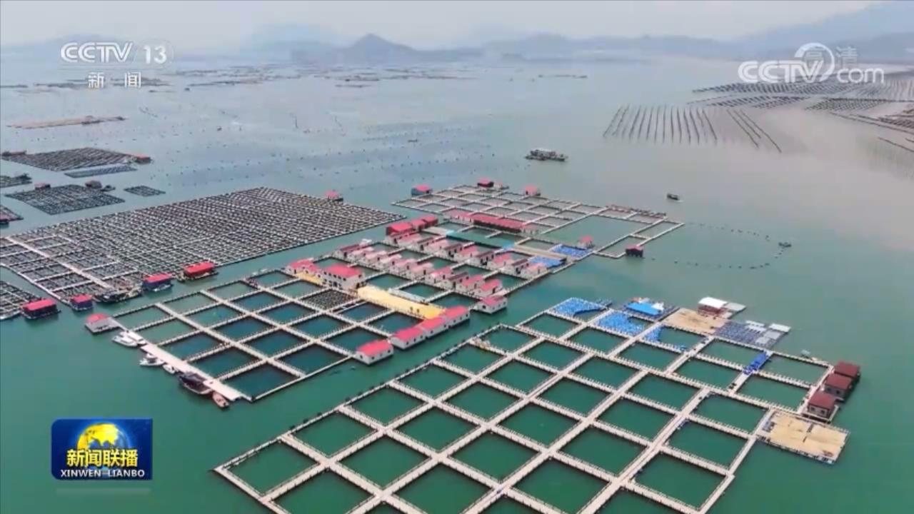 【走進縣城看發(fā)展】福建霞浦：做強海洋經濟 實現綠色發(fā)展